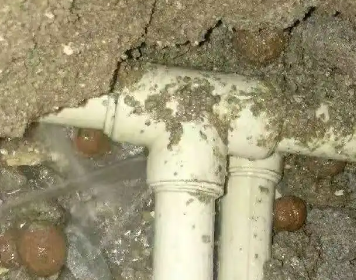 神农架林测漏水多少钱