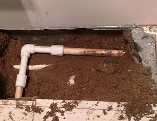 神农架林测漏水哪家好