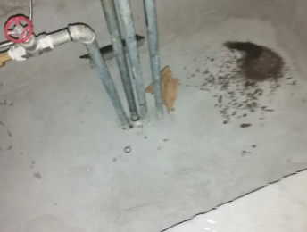 神农架林卫生间测漏水价格明细