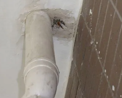 神农架林漏水检测哪家好